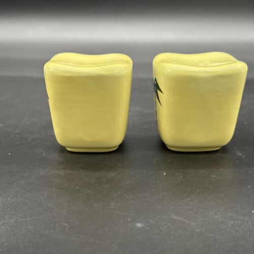 Tahiti Continental Kilns Vintage Salt & Pepper Shakers