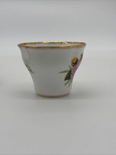 Rosina Fine Bone China