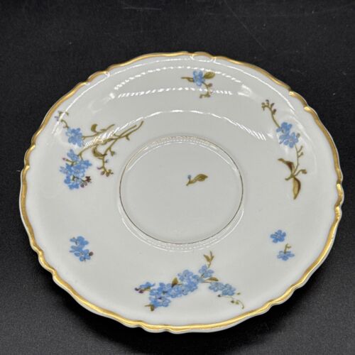 Haviland Limoges Montmery, Tea Cup and Saucer