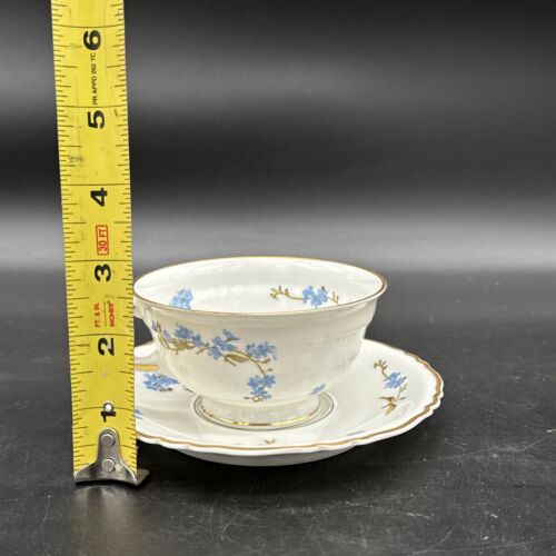 Haviland Limoges Montmery, Tea Cup and Saucer