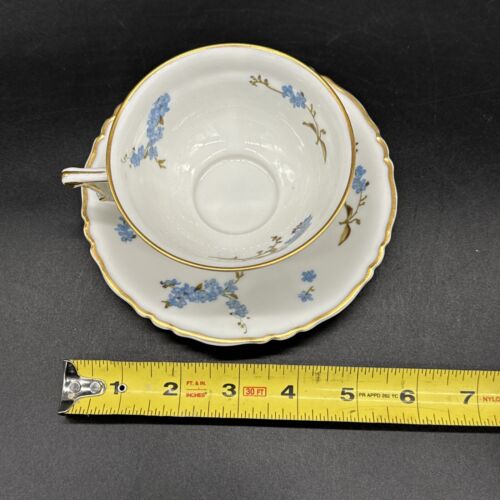 Haviland Limoges Montmery, Tea Cup and Saucer