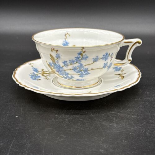 Haviland Limoges Montmery, Tea Cup and Saucer