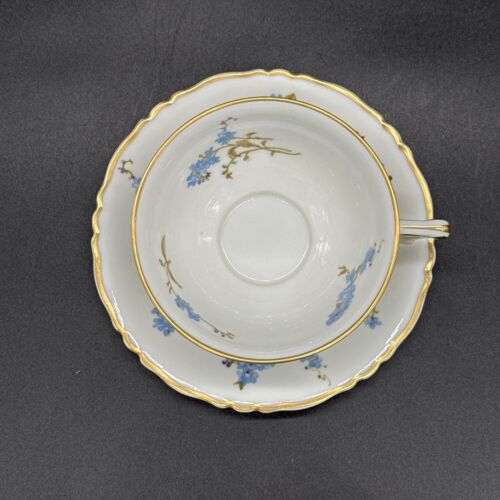 Haviland Limoges Montmery, Tea Cup and Saucer