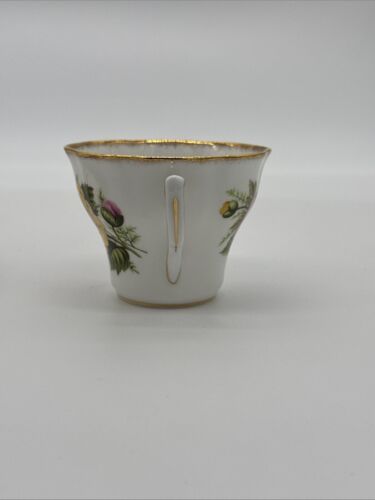 Rosina Fine Bone China